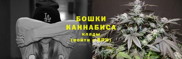 шишки Верея