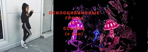 ГАЛЛЮЦИНОГЕННЫЕ ГРИБЫ Верхнеуральск