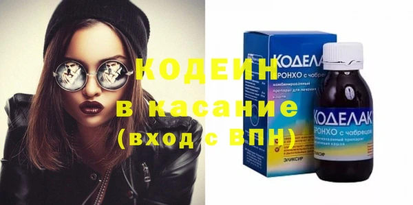 шишки Верея