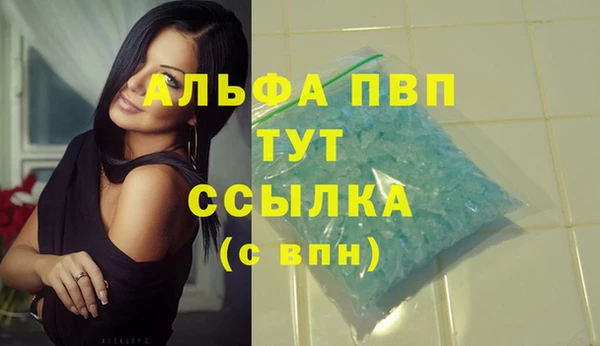 гидра Сафоново