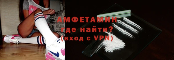 шишки Верея