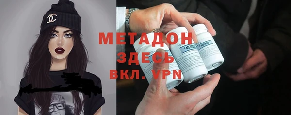 шишки Верея