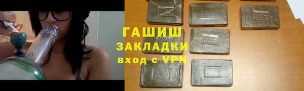 шишки Верея