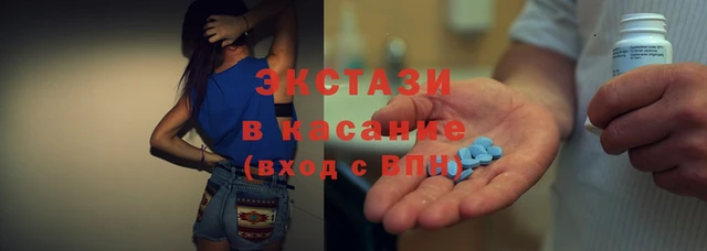 шишки Верея