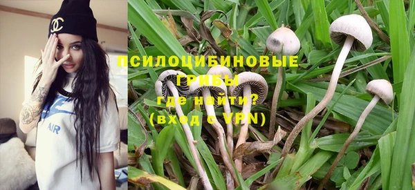 молекула духа Верхний Тагил