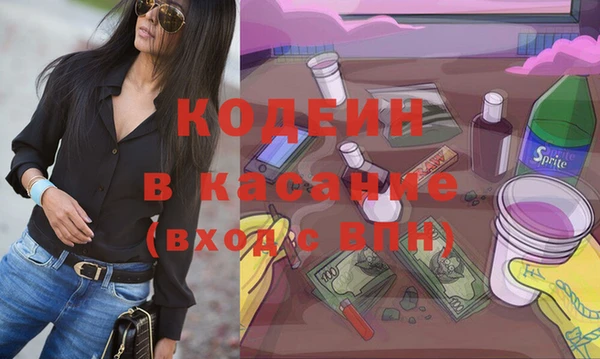 шишки Верея
