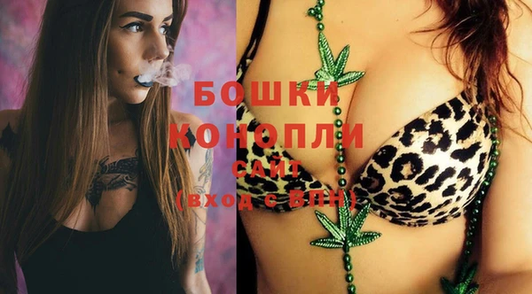 молекула духа Верхний Тагил