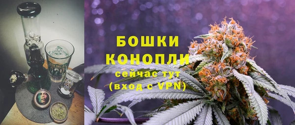 ГАЛЛЮЦИНОГЕННЫЕ ГРИБЫ Верхнеуральск