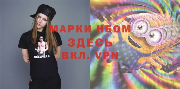 молекула духа Верхний Тагил